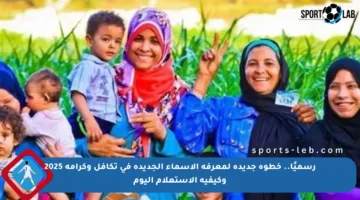 رسميًا.. خطوة جديدة لمعرفة الأسماء الجديدة في تكافل وكرامة 2025 وكيفية الاستعلام اليوم